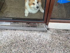 -肥朵食堂(带梦胡同店)