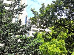-上海交通大学医学院附属瑞金医院(总院)