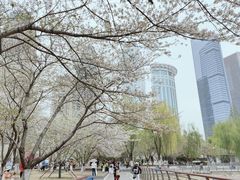 -西北湖绿化广场