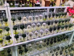 -KKV(深圳宏发大仟里店)