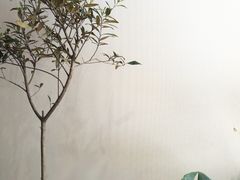 -琥珀咖啡 Ambercoffee
