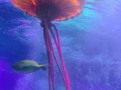 -沈阳海洋探索中心