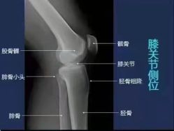 -安吉拉青春化管理中心