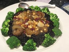 -新兴·金羊座·粤菜点心(乐峰店)