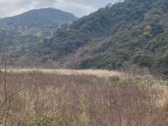 -北仑森林植物园