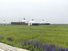 -敕勒川草原