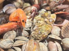 -喝丢一只鞋海鲜烧烤·海肠捞饭(东关街店)