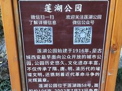 -莲湖公园