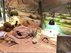 -正佳雨林生态植物园