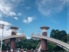 -洱海月湿地公园