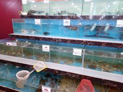 水产区-源海渔村·现捞海鲜(大角湾店)