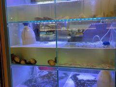 -皮蛋弟砂锅店(总店)