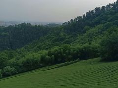 -敬亭山风景名胜区