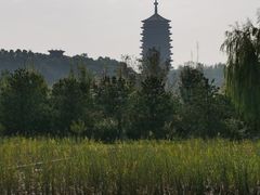 -永定河休闲森林公园