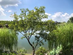 -上海怡沁园度假酒店