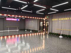 -星舞宝贝少儿舞蹈艺术(天山西路店)