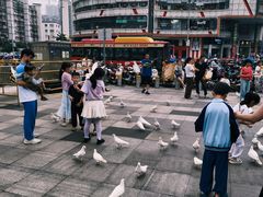 -江燕路万科里