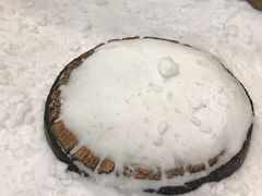 -世界之窗阿尔卑斯冰雪世界