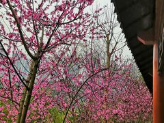 -重庆彩云湖湿地公园