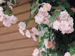 -颐和路民国时期公馆风貌区