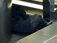 -马德元纯汤牛肉面(太奥广场店)