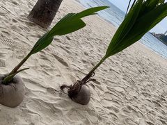 -三亚太阳湾柏悦酒店