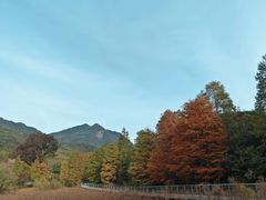 -凤岗南门山森林公园