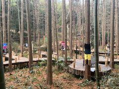 -东明山森林公园