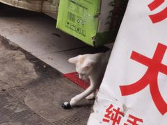 -许阿姨糕团店(南京总店)