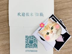 -白箱照相馆·外拍