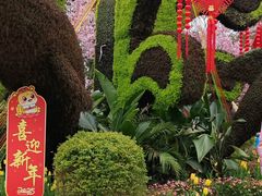-南山植物园