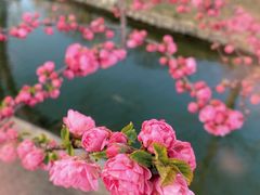 -三里河公园