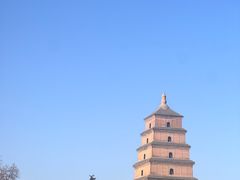 -魏家凉皮(雁塔路店)