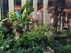 -金色年华养生会所(涵江店)