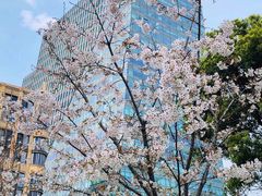 -裕和堂中医推拿艾灸(太古汇臻品店)