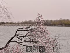 -颐和园