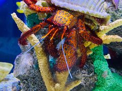 -太平洋海底世界