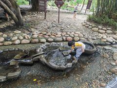 -成都市活水公园