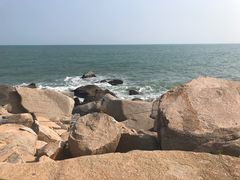 -广东惠东海龟国家级自然保护区