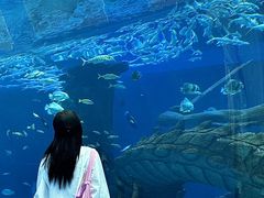 -哈尔滨波塞冬海底世界