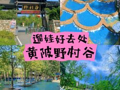 -黄陂区野村谷景区