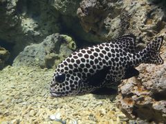 -福州罗源湾海洋世界旅游区