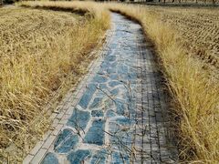 -北坞公园
