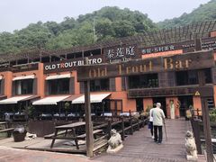 -Local泰莲庭(虹鳟鱼店)