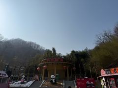 -栾川竹海野生动物园