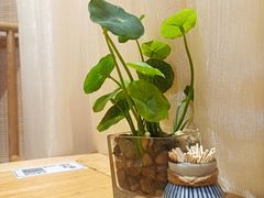 -柒月小火炉·新派川菜(金狮广场店)