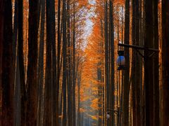 -山王坪喀斯特国家生态公园