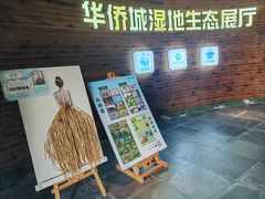 -华侨城湿地公园