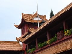 -深圳仙湖植物园