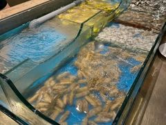 -名羊天下·火锅烧烤自助料理(镇明路店)